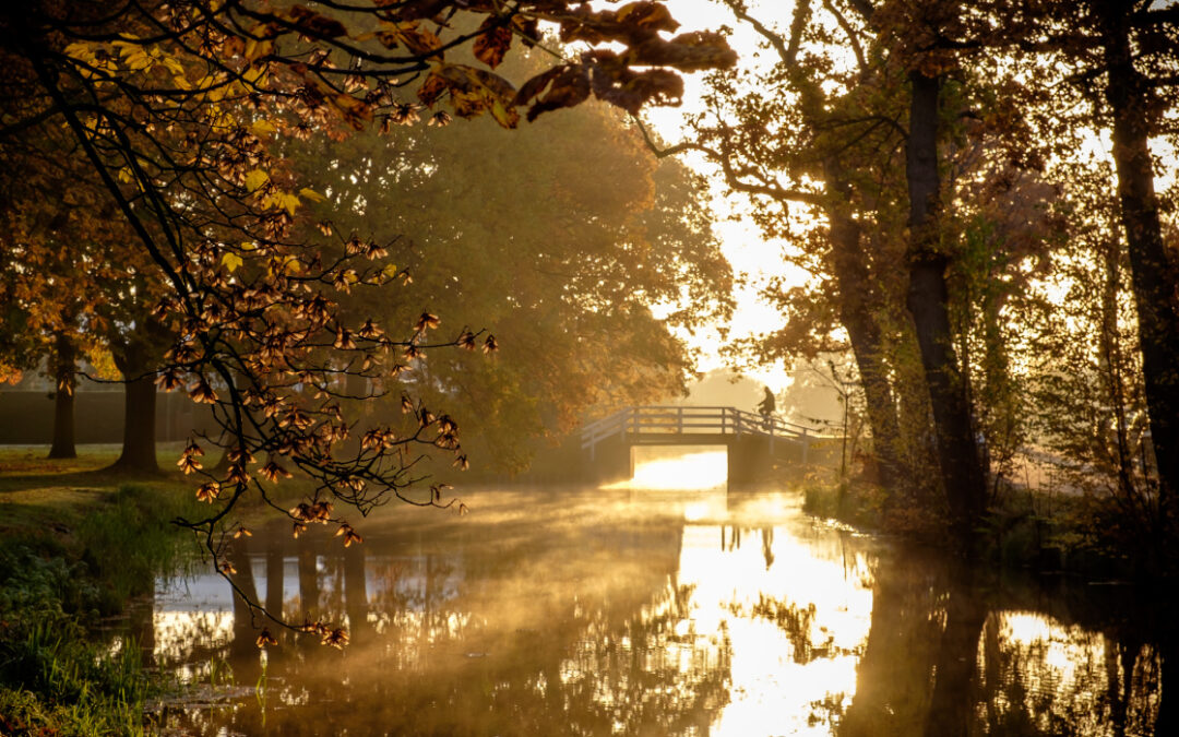September de Zomer eindigt All-in naar de Herfst